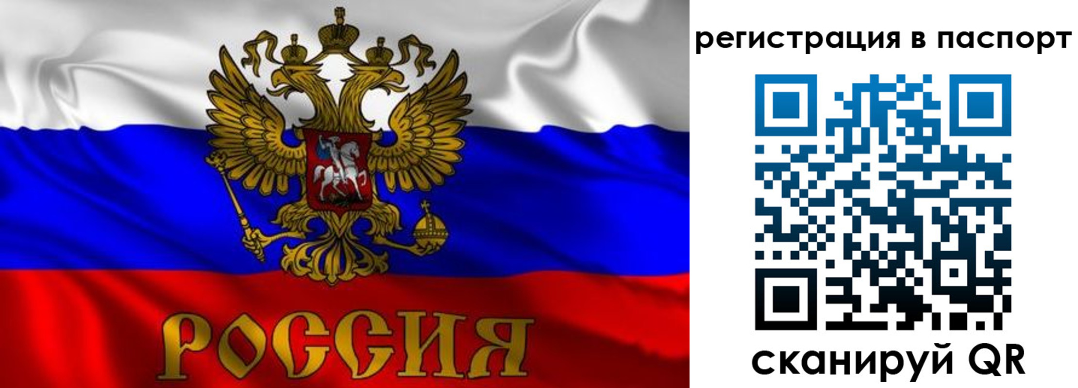 прописка законно в Коврове